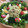 クックS79X5G☆'s cooksnap of when they made エビとアボカドの簡単サラダ☆.