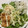 ★海月ちゃん★'s cooksnap of when they made サーモンとアボカドのちらし寿司.