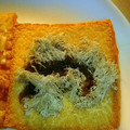リトル黒豆マーメイド's cooksnap of when they made 厚揚げのとろろ昆布のせ.