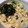 まゆま〜ゆ's cooksnap of when they made 鶏ささみとにらのとろろ雑炊♪.