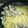 ☆ありか358☆'s cooksnap of when they made アサリのスパゲティ.
