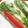 リトルエミエル's cooksnap of when they made 生春巻き 簡単 節約 海老無し.