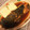 Rieko_ｓ♪♪'s cooksnap of when they made 母から伝わる＊子持ちカレイの煮付け.