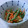 hatahama's cooksnap of when they made いんげんと桜えび炒め♫♬.