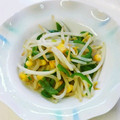 taako1552's cooksnap of when they made もやしとピーマンの炒め.
