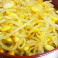 大きな扇子's cooksnap of when they made 簡単美味しいもやしナムルだれ.