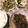 naon0206's cooksnap of when they made 簡単！こんにゃくの白だし煮.