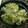 ぺんちゃま's cooksnap of when they made さっぱり☆キムチのかき揚げ.