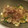 にわかぱりじぇんぬ's cooksnap of when they made 簡単♡アボカドとクリームチーズの和風あえ.