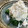 わ五助's cooksnap of when they made ほうれん草としらすのおろし和え.