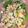 JackFruits's cooksnap of when they made カラフルマカロニサラダ.