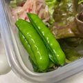 トコタン's cooksnap of when they made 絹さやの茹で方.