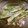 まいつか's cooksnap of when they made オクラのオイスター・マヨネーズ炒め.