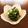 WIS＊'s cooksnap of when they made 45秒小松菜ホウレンソウ葉物完璧なゆで方.