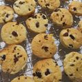 xoco's cooksnap of when they made サクしっとり☆ラムレーズンチーズクッキー.