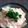 みがつくひと's cooksnap of when they made ヘルシー!豆腐とえのきのカニかま餡かけ.