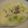 リーフフラワー's cooksnap of when they made あっという間！味噌が引き立つミルクスープ.