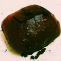 漁師やす's cooksnap of when they made ホームベーカリーDE簡単チョコ胡桃ケーキ.