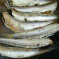 ＊Ｊｕｎｍａｍａ＊'s cooksnap of when they made メギス煮付け.
