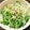mahmican's cooksnap of when they made 水菜としらすのサラダ.