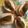クックGFY8CA☆'s cooksnap of when they made アンチョビとパプリカのピンチョス.