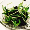 まきろんカフェ's cooksnap of when they made 簡単すぎる♡豆苗とワカメのサラダ♡.