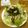 クックCFHKX6☆'s cooksnap of when they made 簡単☆豚しゃぶサラダ.