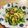 クックKUIUX2☆'s cooksnap of when they made にんにくの芽とベーコン、卵炒め.