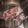 wave37's cooksnap of when they made ☆イカの下処理☆.