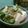 yukitarooo's cooksnap of when they made おくらとえのきの優しい味なめたけ.