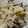 クックHPJDYZ☆'s cooksnap of when they made 枝豆たっぷり炊き込みご飯♪.