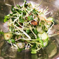 si_＊'s cooksnap of when they made きゅうりとかいわれの梅おかか和え.