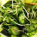 ねじまきどり０１０３'s cooksnap of when they made ワカメと胡瓜とカイワレの酢の物.