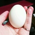 ねぞろ's cooksnap of when they made レンジで簡単ゆで卵！.