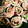 carry410's cooksnap of when they made 不器用でも簡単に！豚肉のしそ梅チーズ巻き.