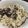 Remtan's cooksnap of when they made 薄味☆簡単ほっこり☆栗ご飯.
