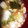 アラフィフ新米主婦♪'s cooksnap of when they made 我が家のけんちん汁.