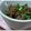aileen♪'s cooksnap of when they made ぴり辛牛丼　ゆずこしょう入り.