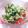 ooゆなoo's cooksnap of when they made 簡単！プチトマトごまだれサラダ.