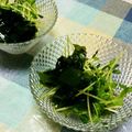 ぴこひろ's cooksnap of when they made 簡単すぎる♡豆苗とワカメのサラダ♡.