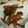 M130018's cooksnap of when they made お母はんの ゴボウ薄々から揚げ.
