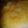クックQEDGCC☆'s cooksnap of when they made 風邪っぴきさんにも♥生姜梨.