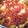 ♡37♡'s cooksnap of when they made ★簡単！圧力鍋で＊ロールキャベツ＊です♪.