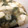 kinako10's cooksnap of when they made ✿生揚げと白菜のゆる煮.