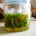 ももちゃんパンダ's cooksnap of when they made 青いトマトのピクルス.