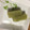 クックEDPHYG☆'s cooksnap of when they made ☆さつまいもようかん＾＾☆.