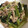 CookNoa's cooksnap of when they made 簡単、豚バラ肉と小松菜の煮物.