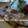 あやプチ's cooksnap of when they made 定番！　豚の生姜焼き.