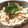 papikun's cooksnap of when they made *ササミの梅こぶ茶和え*.