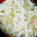 meginjp's cooksnap of when they made 離乳食中期★鮭のみぞれうどん.